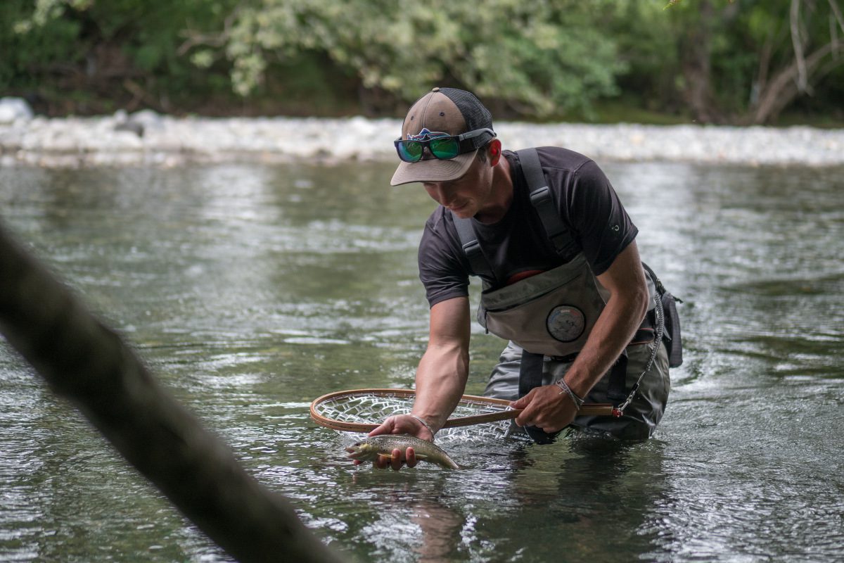 La pêche de la truite aux leurres en rivière